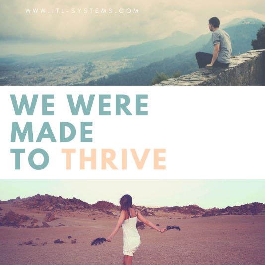 we were made to thrive